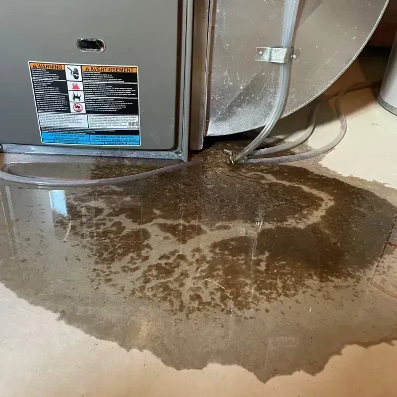 Appliance Leak Cleanup in Sheldon, IA